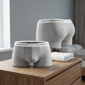 <b>Mens</b> <b>Trunk</b> Panties Classic Grey White Logo on Waist Elastic Band Underwear 91% Micro Modal 9% Spandex Boxer Brief - Product Image 2