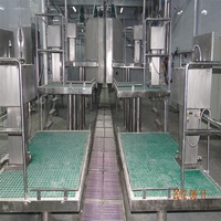 Ligne d'abattage automatique 10-100 bovins/jour équipement d'abattoir de boeuf clé en main avec moteur pour petits abattoirs