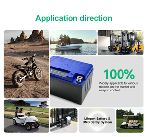 แบตเตอรี่ลิเธียมแบบกำหนดโลโก้เองได้ 12V 24V 36V 48V 100Ah 200Ah 300Ah 400Ah 500Ah สำหรับจัดเก็บพลังงาน EV - Product Image 6