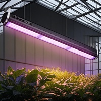 Kit de culture hydroponique complet avec système d'éclairage LED à spectre complet, favorisant la floraison, écologique, pour les cultivateurs de plantes d'intérieur