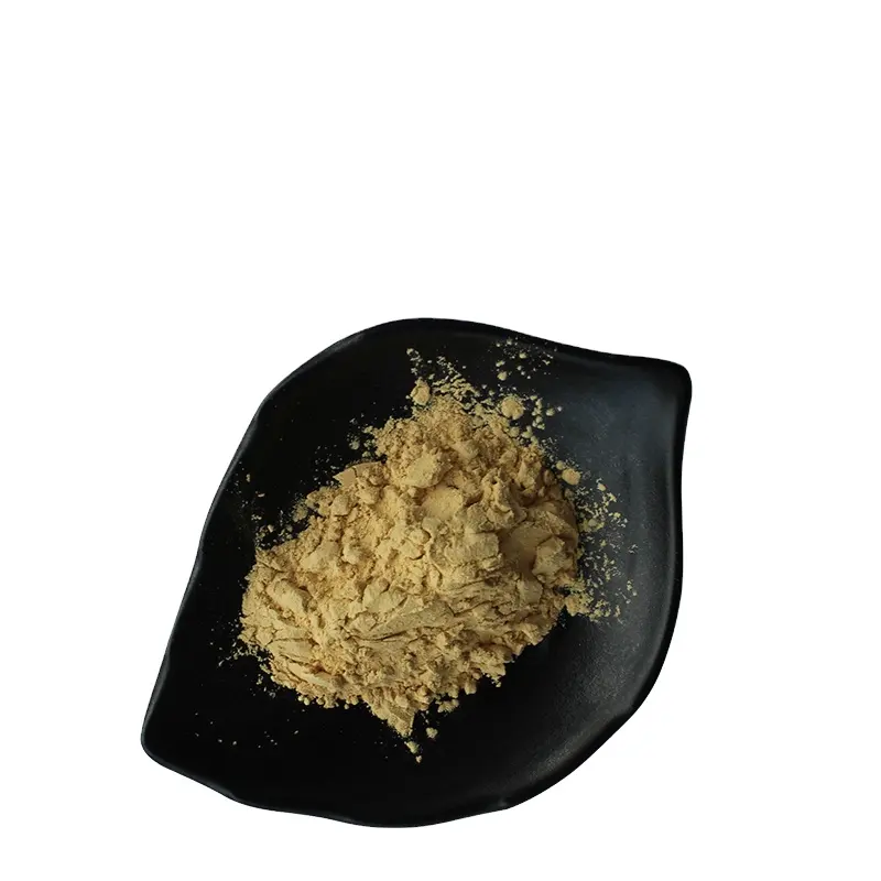 Polveri di Nigella Sativa per uso alimentare all'ingrosso polveri di semi di cumino nero Thymoquinone alla rinfusa