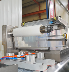 Máquina de Envasado al Vacío Termoformadora Automática Pequeña DZXL-420-350 para Calamar Desmenuzado y Muslos de Pollo - Product Image 5