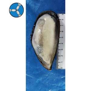 SANFENG SEAFOOD: Cozze Congelate a Mezza Conchiglia Affidabili per Supermercati e Servizi di Catering in Malesia - Product Image 2