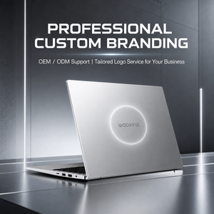 Woo King A14se 2026 Intel Core i5 i7 6200U 6500u <span class=keywords><strong>8</strong></span>+256 14.0 FHD 1920 1200 60Hz Plata - Product Image 3