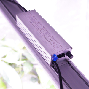 เทปไฟปลูกต้นไม้ LED 2.8umol/<span class=keywords><strong>J</strong></span> LM301H <span class=keywords><strong>Samsung</strong></span> แถบไฟปลูกต้นไม้ DC/เติบโตสเปกตรัมเต็มสเปกตรัมสำหรับผักและดอกไม้ - Product Image 1