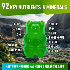 Gomitas de Musgo Irlandés de Marca Propia con Raíz de Bardana y Alga Marina, Suplemento Vegano de Superalimentos para Adultos - Product Image 6