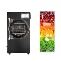 Mini Vriesdroger Kleine Vriesdroger Machine Voor Thuisgebruik Vacuüm Vriesdroger Voor Fruitgroenten Lyofilisator Machine