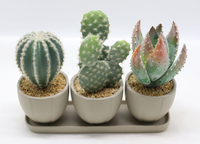 Nouveauté 2025 : Tête de fleur succulente artificielle verte à effet flocqué, pour créations DIY, accessoires pour bonsaï et fleurs artificielles