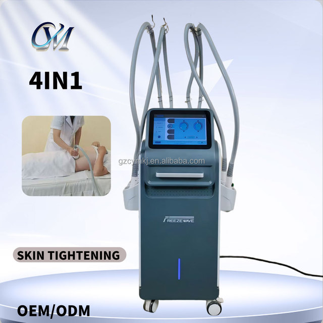 2026 Newest Salon Use Freezewave Device Back Fat Removal Double Chin Removal Boost Skin Elasticity Touch Screen Beauty Equipment