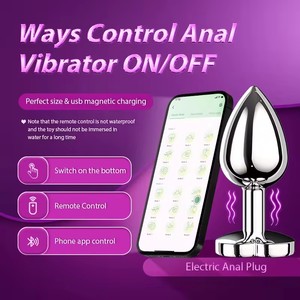STELLAR PATH TY-260509 CN Medium Vibrateur anal télécommandé sans fil avec base en forme de cœur, jouet sexuel pour femmes, application mobile - Product Image 4