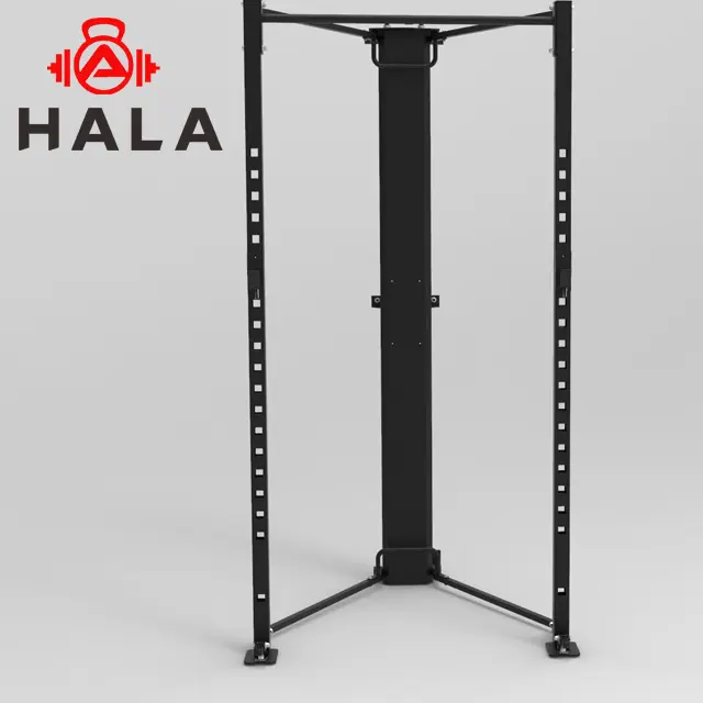 HALA-WM-1822 Home Gym Equipment Wall Mount Foldable Squat Power Rack With J-hooks And Spotter