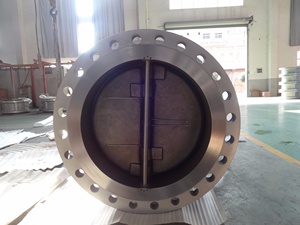 Van Kiểm Tra Kép Mặt Bích Đôi SS WCB DN1000 PN40 - Product Image 3