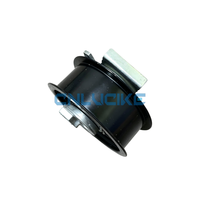 Pièces et accessoires automobiles en gros : Tendeur de courroie de distribution 06D109243C pour Audi A1 A3 A4 A6 C6 VW Seat 2.0T