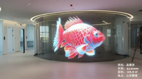 Écran publicitaire LED en verre transparent haute luminosité HD pour utilisation en intérieur/semi-extérieur