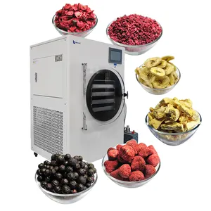 Mini Vacuum Home Food Gefriert rockner Maschine Gefriert rockner für Obst Gemüse