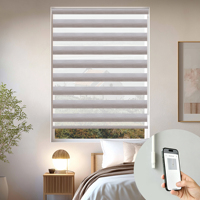Allbright Powered by Eve Motionblinds Tende a Rullo Smart Zebra Oscuranti Senza Fili Compatibili con Matter e Thread per Finestre Domestiche