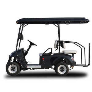 Carrito de Golf Personalizable de 8 Plazas, Capacidad de Carga de 1 Tonelada, Certificado CE, Autonomía de 50-70 km, Multifuncional, Opción de Caja Adicional, Estilo Vintage, Eléctrico - Product Image 2