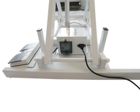 Table de toilettage pour animaux de compagnie Shernbao FT-873 avec fer à repasser électrique, lumière LED, bureau élévateur professionnel, capacité de charge de 120 kg pour salon