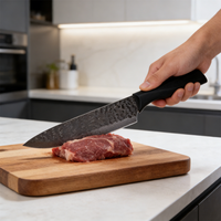 Offre Spéciale : Ensemble de 6 Couteaux de Cuisine en Acier Inoxydable Revêtu avec Manches en Plastique Colorés Antiadhésifs, Lavables au Lave-Vaisselle