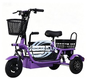 Triciclo Eléctrico Familiar Confortable para Viajes de Personas Mayores - Product Image 6