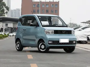 大人の電気自動車のためのWulingHongguangミニEV新エネルギー車