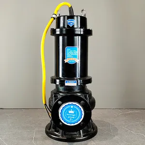 Hoge Kwaliteit Centrifugaal Lenspomp Hand 10m 3/H Elektrische Onderwaterpomp Groothandel Markt Carter Pomp 230V Voor Vuil Water