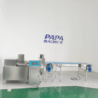 Machine extrudeuse multifonctionnelle industrielle P400 pour barres pralinées et barres de collation multi-rangs avec coupeur