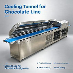 Máquina Automática para Recubrir con Chocolate Pequeños Productos - Product Image 6