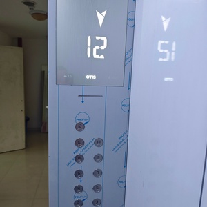 Ascensor Residencial para Casa de Campo de 300 kg con Iluminación Interior LED y Diseño Personalizable, Soporte Postventa - Product Image 3
