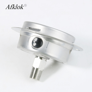 Topgewaardeerde 304 roestvrijstalen manometer 0-400 bar 63mm wijzerplaat 1/4 inch mannelijke NPT achteraansluiting - Product Image 3