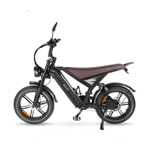 GT20 Adult Mountain Bike 20" Wheel 7-Speed Steel Frame Hydraulic Disc Brakes Lithium Battery 1000W 48V Fatbike - Product Image 2