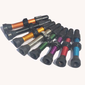 Vente en gros de valves de pneus sans chambre à air en alliage d'aluminium allongées pour vélo, 40/60/80 mm, <span class=keywords><strong>valve</strong></span> de <span class=keywords><strong>pneu</strong></span> sans chambre à air pour vélo - Product Image 4