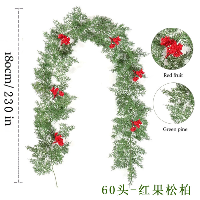 60 หัว - สนผลแดง