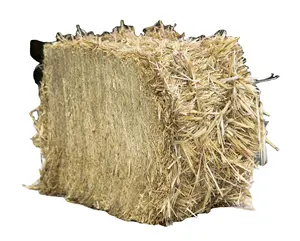 STRAW HAY BALES FOR SALE AT WHOLESALE PRICES