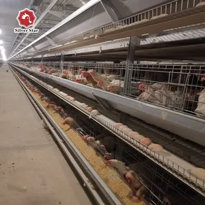 H Type Chicken Layer Cage Full Automatic Poultry Farm Coop For Africa