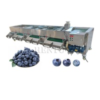 Industriële Sorteermachine Bosbessen/Koffiekersen Sorteerder/Pinda-Sorteermachine
