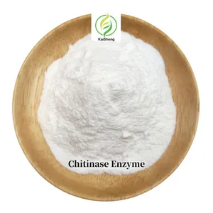 Wholesale Price Food Grade Chitinase Enzyme Powder Chitinase Enzyme
