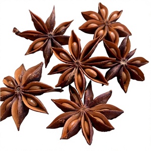 Anís Estrellado de Primera Calidad, Oferta Especial, Aroma Agradable, Superventas, Suministro a Granel, Empaquetado - Product Image 1