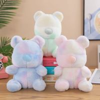Peluches Ours en Peluche Arc-en-ciel de 8 Pouces, Jouets en Peluche Mignons et Kawaii de Styles Mixtes, Jouets pour Machine à Griffes