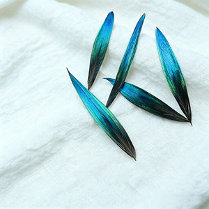 Plumes de paon irisées rigides de 3-7 cm – Pointes de plumes teintées bleu-vert coupées pour costumes, artisanat et chapellerie - Product Image 3
