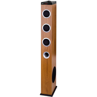 Samtronic samtronic Offre Spéciale 2.1ch haut-parleur de cinéma à la maison, tour sans fil, haut-parleur de tour sur pied bt avec Radio FM