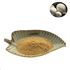 Herba integratore <span class=keywords><strong>Da</strong></span> Tu <span class=keywords><strong>Ma</strong></span> Bo 5:1 10:1 20:1 Calvatia Gigantea Sporophore estratto in polvere - Product Image 1
