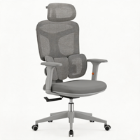 Silla de Oficina Ergonómica Giratoria para Estudio o Sala de Juegos, Respaldo de PP, Soporte Lumbar Convertible, Reposacabezas 3D, Reposabrazos 4D