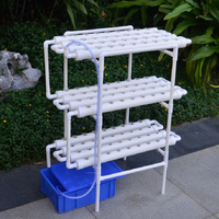 Système de culture hydroponique Fuma Factory Supply pour plantes d'intérieur avec pompe pour usage domestique, jardin vertical