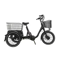Trike bicicleta elétrica para adultos, bicicleta elétrica para pneus gordo elétrica trike 250w com 3 rodas sc