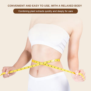 Venta al por mayor 30 piezas Extra fuerte hierbas adelgazamiento vientre parche desintoxicación Abdomen cintura <span class=keywords><strong>Lipo</strong></span> ajenjo pérdida de peso cuidado - Product Image 6