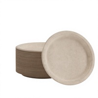 Assiettes jetables modernes en bagasse de canne à sucre compostables pour la maison, les restaurants et les repas quotidiens