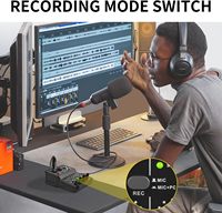Table de mixage audio professionnelle 2 canaux pour karaoké à domicile et studio d'enregistrement avec fonction d'annulation du bruit