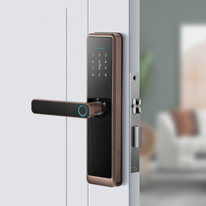 इलेक्ट्रॉनिक उच्च तकनीक Homekit वाईफ़ाई टीटी ताला स्मार्ट डिजिटल चूल संयोजन इलेक्ट्रॉनिक कुंजी संभाल अपार्टमेंट दरवाजा ताला - Product Image 3