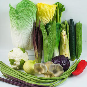 Nouvelle arrivée vente en gros <span class=keywords><strong>de</strong></span> plantes artificielles en PU mousse <span class=keywords><strong>végétale</strong></span> fruits cuisine restaurant fleurs et plantes décoratives pour la conception <span class=keywords><strong>de</strong></span> salle d'exposition - Product Image 1